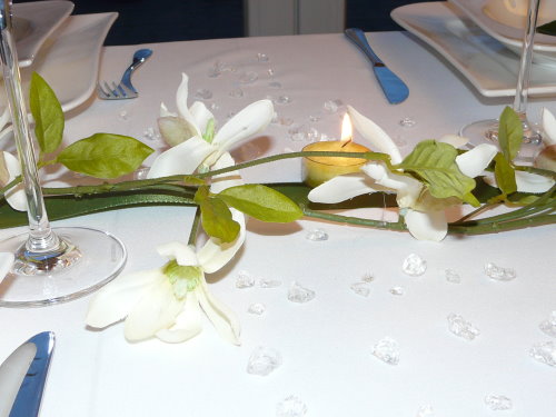 Mustertisch 5 in GRÜN mit Magnolienzweig von Tischdeko-online. Tipps für Tischdeko zur Hochzeit, Kommunion oder Konfirmation